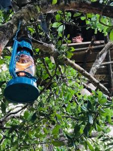 Jungle Tree Hut Anuradhapura Sri Lanka