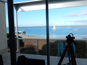Appartement T3 Centre Arcachon, Vue Bassin, Parking, Animaux OK, Wifi - FR-1-374-74