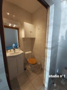 Appartements Danciu : photos des chambres