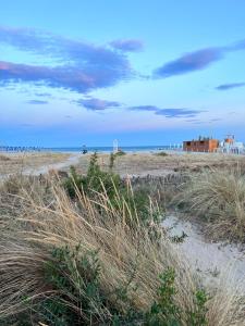 la casetta tra laguna e mare Poetto img68