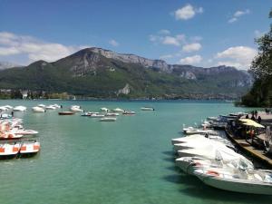 Appartements Cabana & Le Central - Proche Lac , Terrasse et Parking : photos des chambres