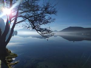 Appartements Cabana & Le Central - Proche Lac , Terrasse et Parking : photos des chambres