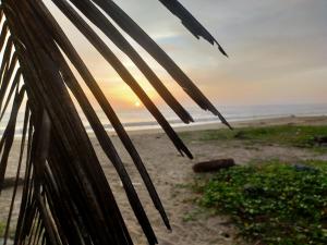 MARARI BLESSING BEACH FRONT HOMESTAY