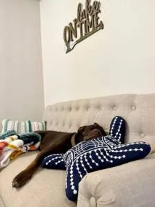 4 bdr Cottage, Edinboro Lake Views, Dogs Welcome - 米德维尔