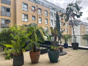 Chelsea Pad by condokeeper