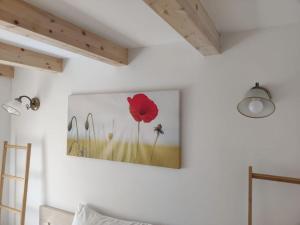 Studio apartman Ankica u starom dijelu grada