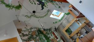 Honfleur centre ville avec garage privé