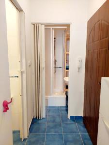 Cozy studio in Vinohrady