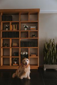 Travelers Orange Suites