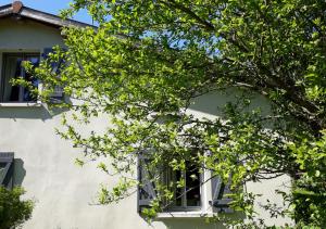 Maisons de vacances Le bois de l'etang - Gite 3 etoiles - 6 pers : photos des chambres