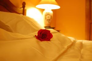 Bucharest Boutique Accommodation by Hotels