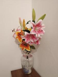 Los Lirios appartamento centro storico Ferrara