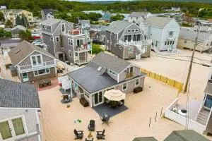 After Dune Delight - Cedar Bushes