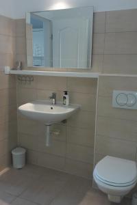 Apartments with a parking space Bol, Brac - 12288