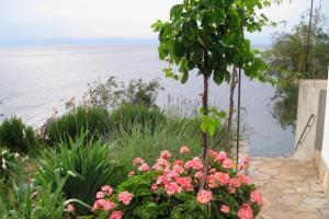 Seaside secluded apartments Cove Virak, Hvar - 12321