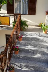 Apartments by the sea Posedarje, Novigrad - 12402