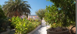 Apartments with a parking space Sumartin, Brac - 12487