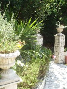 Apartments with a parking space Slano, Dubrovnik - 12576