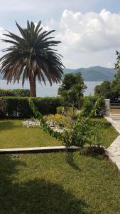 Apartments by the sea Viganj, Peljesac - 12564