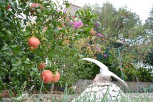 Apartments by the sea Poljica, Trogir - 12653