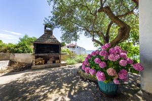 Apartments by the sea Zdrelac, Pasman - 12662