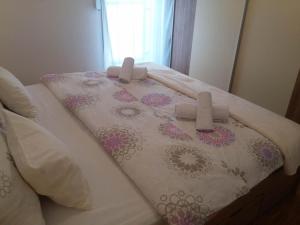 Apartments with WiFi Zadar - 12683