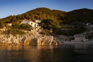 Secluded fishermans cottage Cove Pakomina, Hvar - 12702