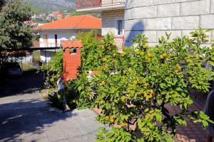 Apartments with a parking space Seget Vranjica, Trogir - 12760