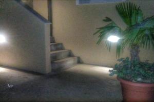 Apartments with a parking space Barbat, Rab - 12871