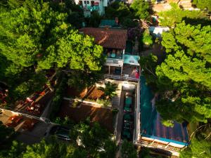 Studio Zaostrog 12951b