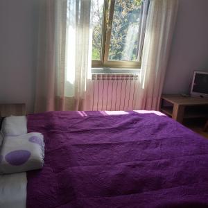 Family friendly house with a swimming pool Brest pod Uckom, Central Istria - Sredisnja Istra - 13005