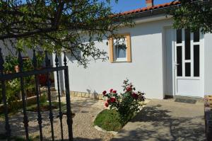 Apartments with a parking space Lun, Pag - 13022