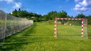 Family friendly apartments with a swimming pool Veli Mlun, Central Istria - Sredisnja Istra - 13099