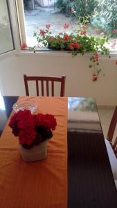 Seaside holiday house Drace, Peljesac - 13117