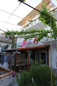 Apartments by the sea Gradac, Makarska - 13181 