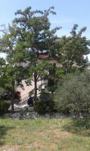 Apartments with a parking space Gradac, Makarska - 13196 