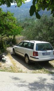 Apartments with a parking space Gradac, Makarska - 13196