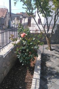 Apartments with a parking space Pirovac, Sibenik - 13201