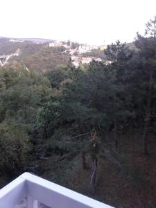 Apartments with WiFi Rijeka - 13261 