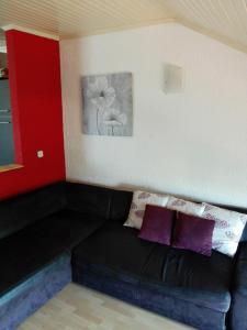 Apartments with a parking space Murine, Umag - 13302