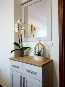 Apartments by the sea Kastel Kambelovac, Kastela - 13349