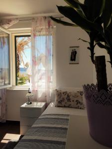 Apartments by the sea Kastel Kambelovac, Kastela - 13349