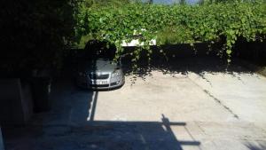 Apartments with a parking space Orebic, Peljesac - 12850