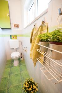 Apartments by the sea Zadar - 13498