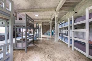 Deishaview Jungle Hostel