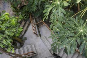 Deishaview Jungle Hostel