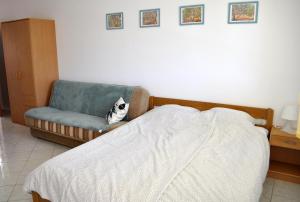 Apartments with parking space Vir - 13686