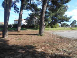 Triple Room Rovinj 13591g