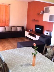 Apartments with a parking space Novigrad - 12572