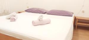 Seaside holiday house Tkon, Pasman - 14664